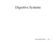 Digestive Systems
