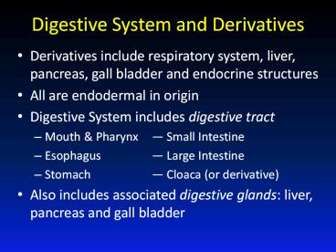 Digestive System and Derivatives