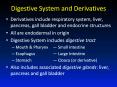 Digestive System and Derivatives PowerPoint PPT Presentation