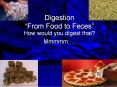Digestion  PowerPoint PPT Presentation