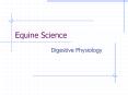 Equine Science PowerPoint PPT Presentation