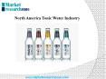 North America Tonic Water Industry PowerPoint PPT Presentation
