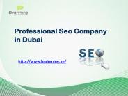 Professional Seo Company in Dubai
