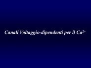 Presentazione di PowerPoint