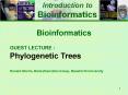 Bioinformatics PowerPoint PPT Presentation