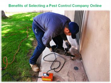 Benefits of Selecting a Pest Control Company Online