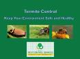 Termite Control - Keep Your Environment Safe and Healthy PowerPoint PPT Presentation