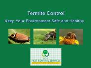 Termite Control - Keep Your Environment Safe and Healthy