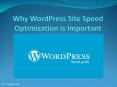 Acquire the reason why Website Speed is Important to boost your Business Performance PowerPoint PPT Presentation