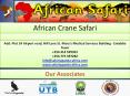 East African Safari PowerPoint PPT Presentation