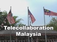 Telecollaboration