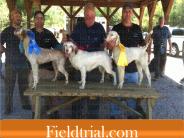 Gun Dog Training Supplies