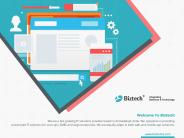 Biztech Consulting & Solutions Company Brochure