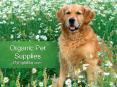 Top 5 Benefits of Organic Pet Supplies Online