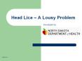 Head Lice  PowerPoint PPT Presentation