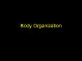Body Organization PowerPoint PPT Presentation