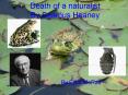 Death of a naturalist By Seamus Heaney PowerPoint PPT Presentation