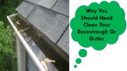 Eavestrough & Gutter Cleaning service Ottawa