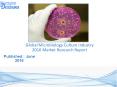 Global Microbiology Culture Market 2016 PowerPoint PPT Presentation