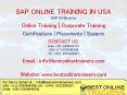 SAP Online Training In USA PowerPoint PPT Presentation