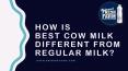 How is best cow milk different from regular milk PowerPoint PPT Presentation