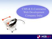 CMS & E-Commerce web development Company India