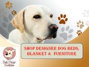 SHOP DESIGNER DOG BEDS, Blanket &  FURNITURE