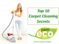 Top 10 Carpet Cleaning Secrets PowerPoint PPT Presentation