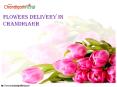 Flowers Delivery in Chandigarh PowerPoint PPT Presentation