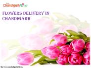 Flowers Delivery in Chandigarh