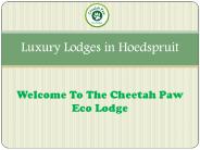 Luxury Lodges in Hoedspruit