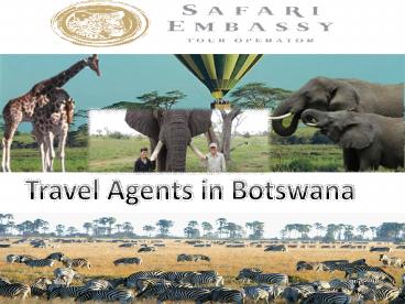 Affordable Tour Travel Service Provided By Travel Agents in Botswana