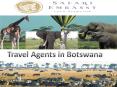 Affordable Tour Travel Service Provided By Travel Agents in Botswana PowerPoint PPT Presentation