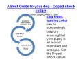 A best guide to your dog - doged shock collars PowerPoint PPT Presentation