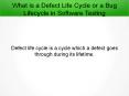 What is a Defect Life Cycle in Software Testing PowerPoint PPT Presentation