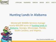 Hunting Lands in Alabama