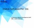 E-commerce Website Development Solutions - Endive Software PowerPoint PPT Presentation