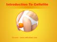 Introduction To Cellulite PowerPoint PPT Presentation
