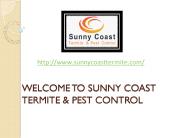 Rat Control OrangeCounty