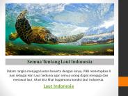 Semua Tentang Laut Indonesia