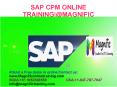 Sap commercial Project Mangement Online Training PowerPoint PPT Presentation