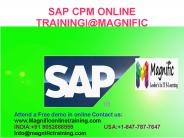 Sap commercial Project Mangement Online Training