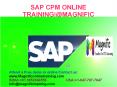 Sap Commercial Project Management Online Training PowerPoint PPT Presentation