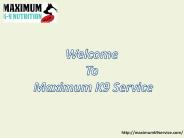 Dog Training Long Island: Maximum K9 Service