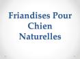 Friandises Pour Chien Naturelles PowerPoint PPT Presentation