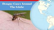 Dengue Cases Around the Globe