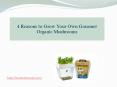 4 Reasons to Grow Your Own Gourmet Organic Mushrooms PowerPoint PPT Presentation