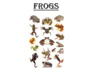 Frogs: Characteristics, Behavior, Habitat