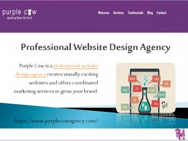 Professional Website Design Agency