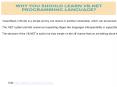 WHY YOU SHOULD LEARN VISUAL BASIC (VB.NET) ? PowerPoint PPT Presentation